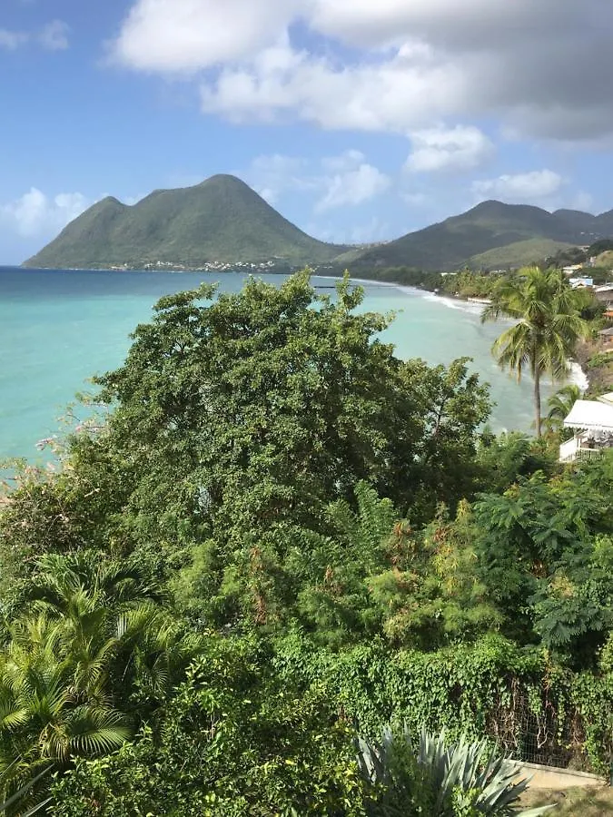 公寓 Appartement Les Pieds Dans L'Eau Dans Residence De Standing 勒迪亚芒 马提尼克